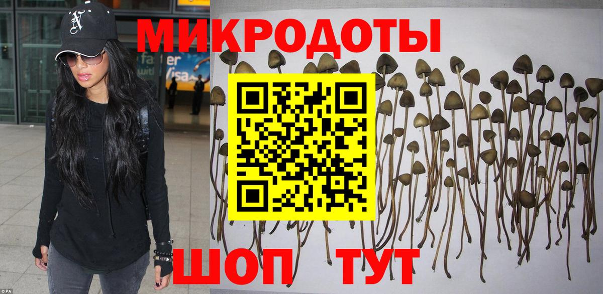 Галлюциногенные грибы MAGIC MUSHROOMS Долгопрудный