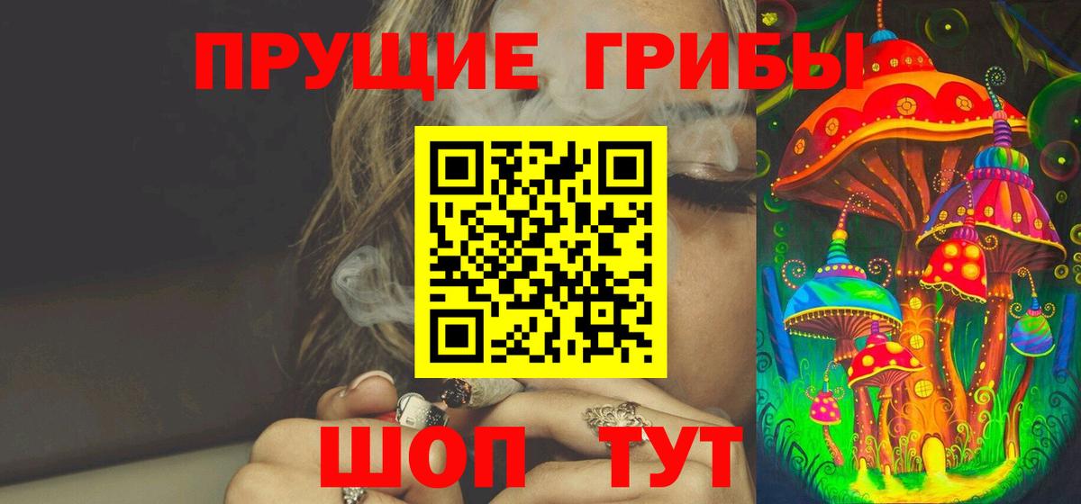 Долгопрудный  Псилоцибиновые грибы GOLDEN TEACHER  Вход с VPN 